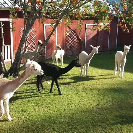 Nature Linnunrata 公寓