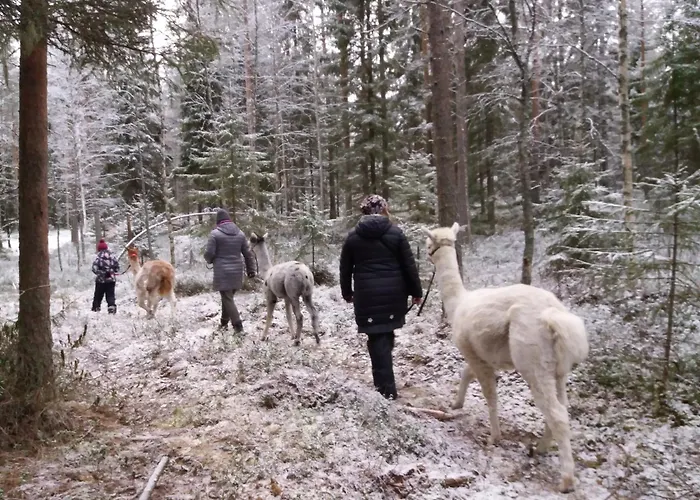 Nature Linnunrata דירה אולו