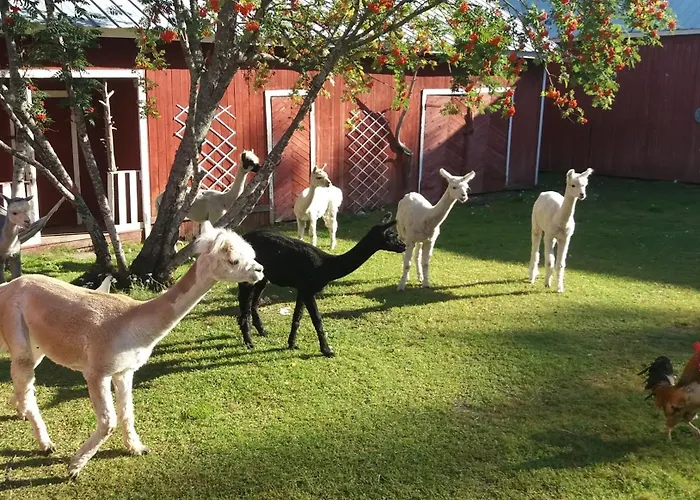 Nature Linnunrata 公寓