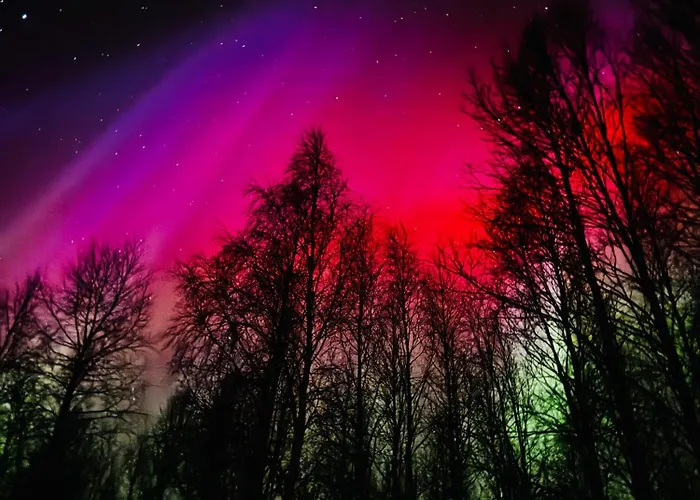 דירה Nature Linnunrata אולו